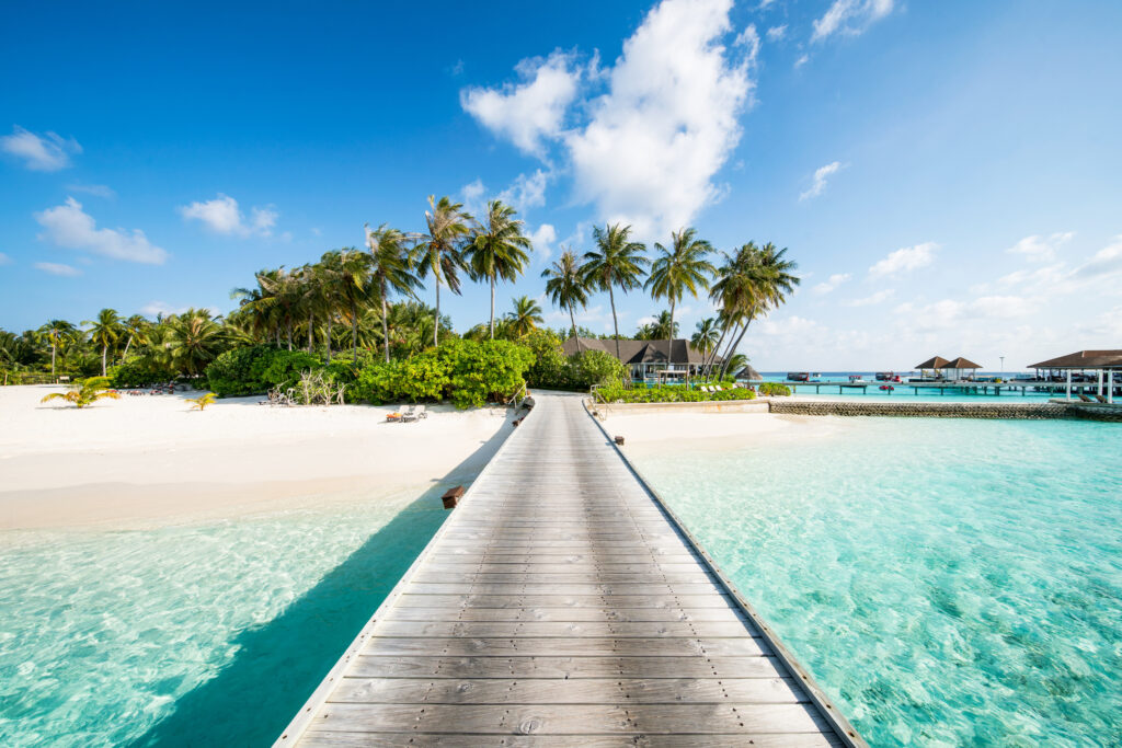 tropical beach