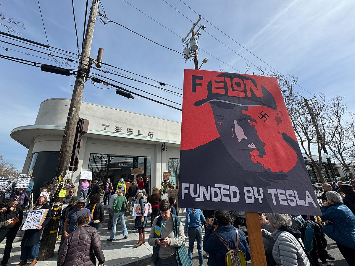 ‘Take Down Elon’: Crockett’s Birthday Wish Sparks National Firestorm