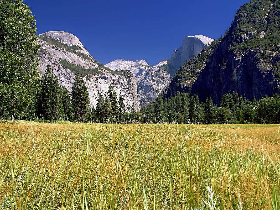 ‘PhDs on Potty Patrol’ as Yosemite Slashes Staff