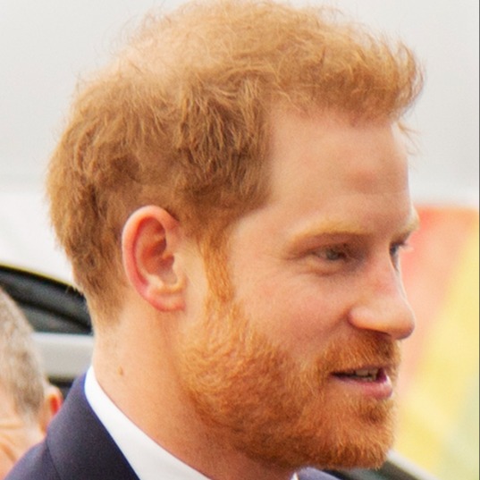 William Rejects Harry’s Plea: ‘Olive Branch’ Ignored