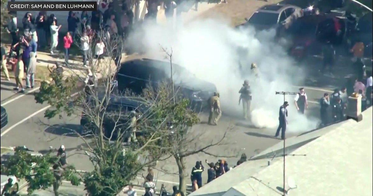 Crowd gathered along a city street during a protest, with vehicles and trees in the background