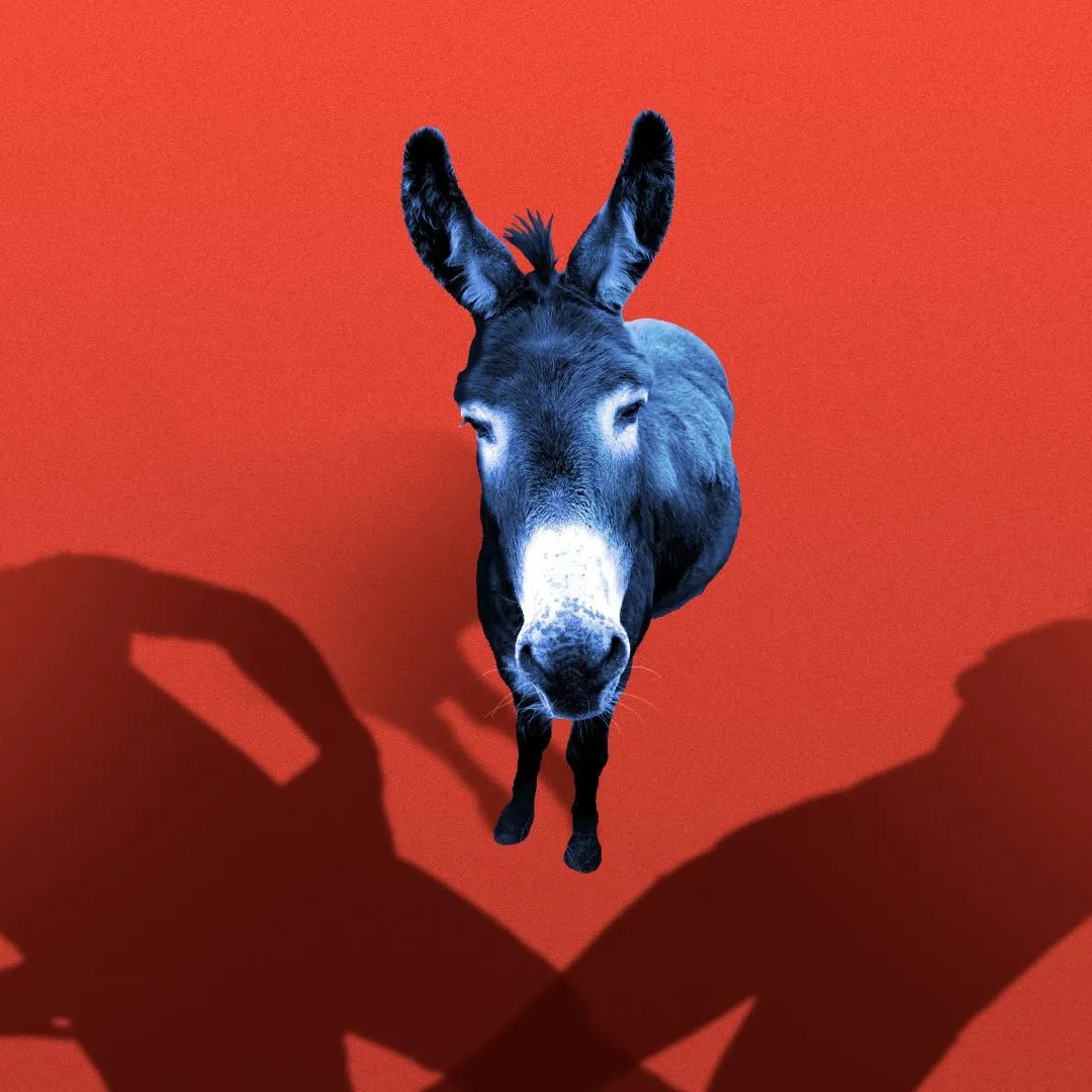 Illustration: Sarah Grillo / Axios - Axios