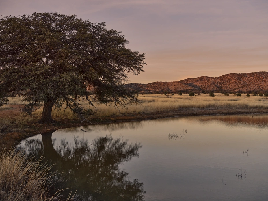 A desert pond in the San Rafael Valley; scarce groundwater is used for concrete mixing during wall construction.